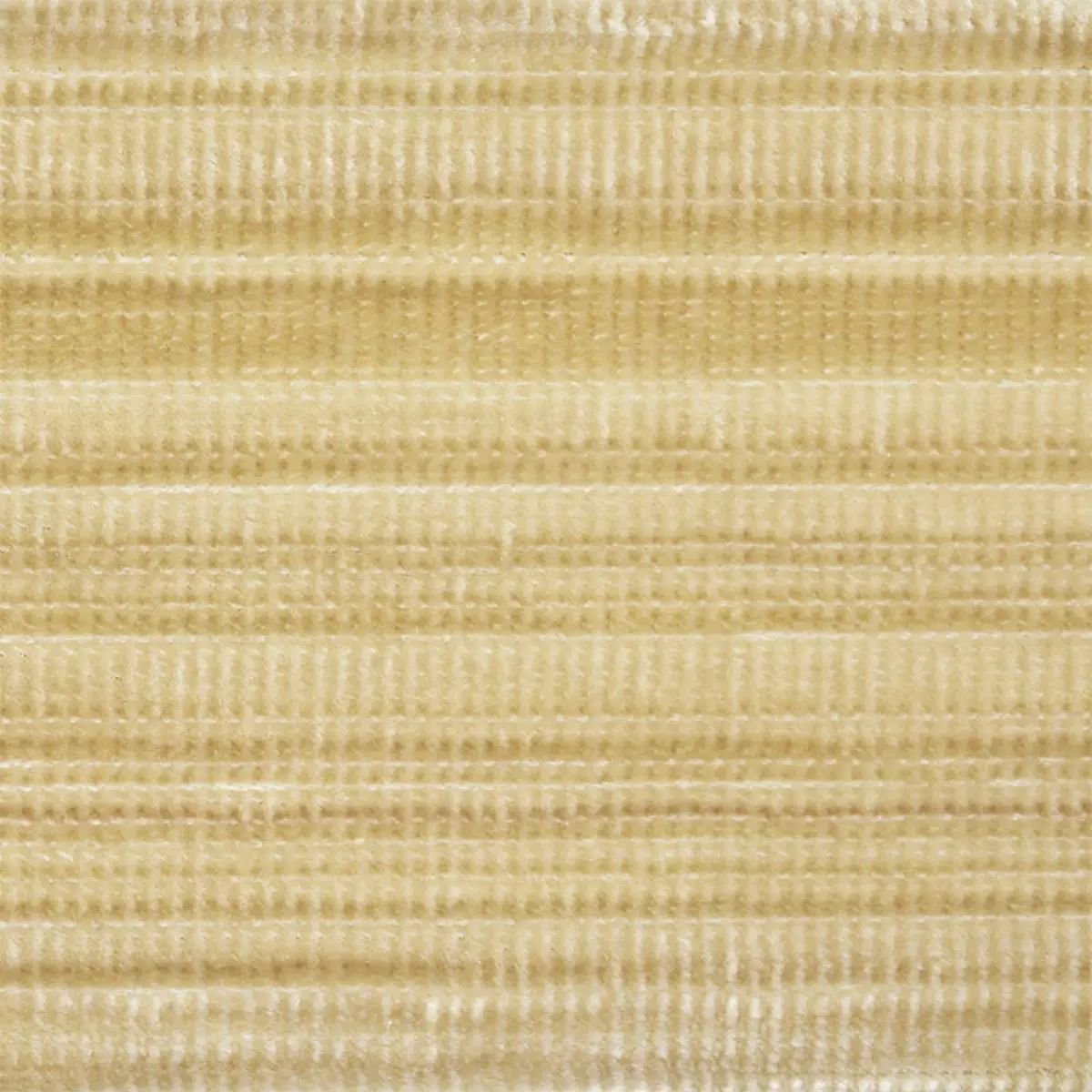 GASPARD VELVET TAPE WIDE_ GOLD