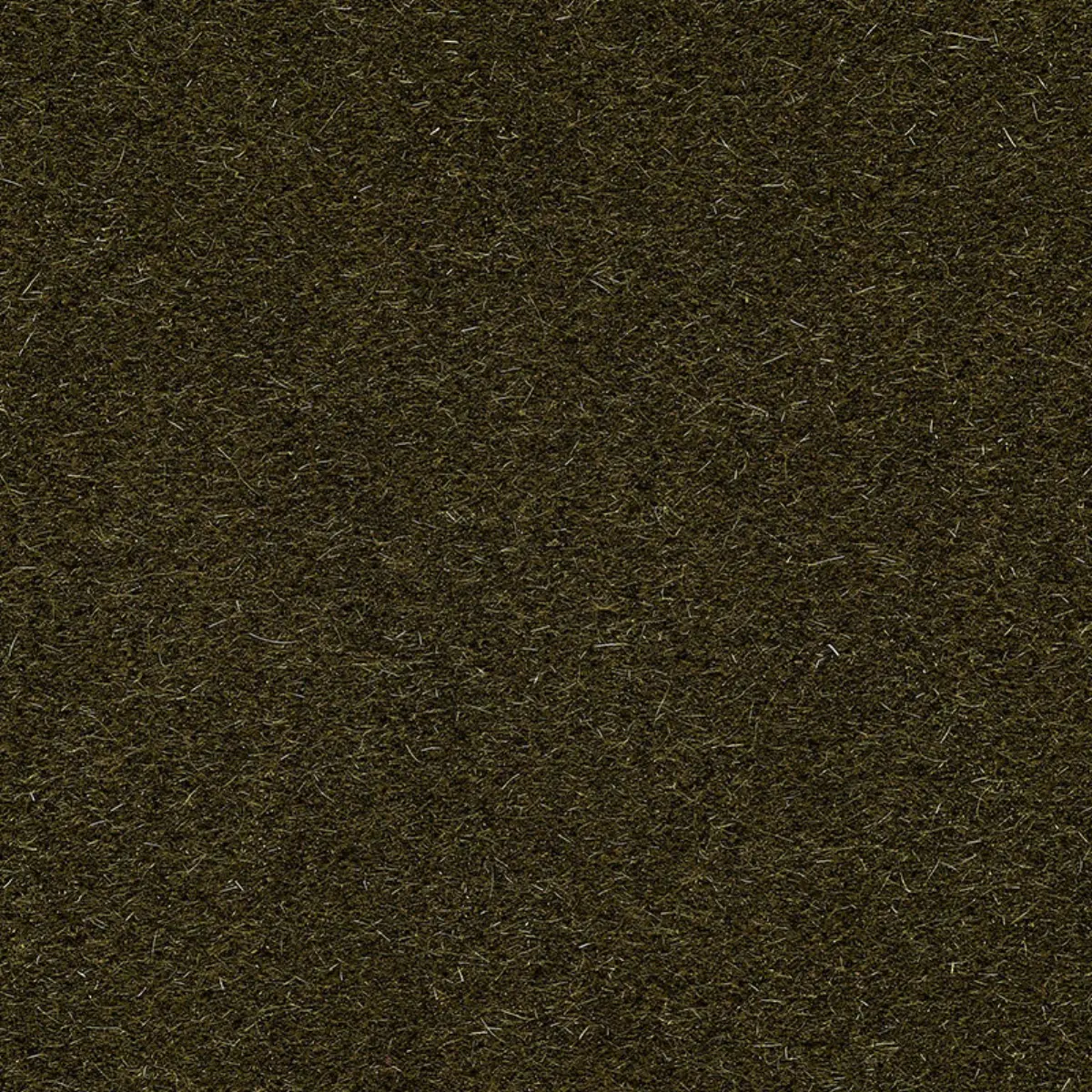 SAN CARLO MOHAIR VELVET_ OLIVE