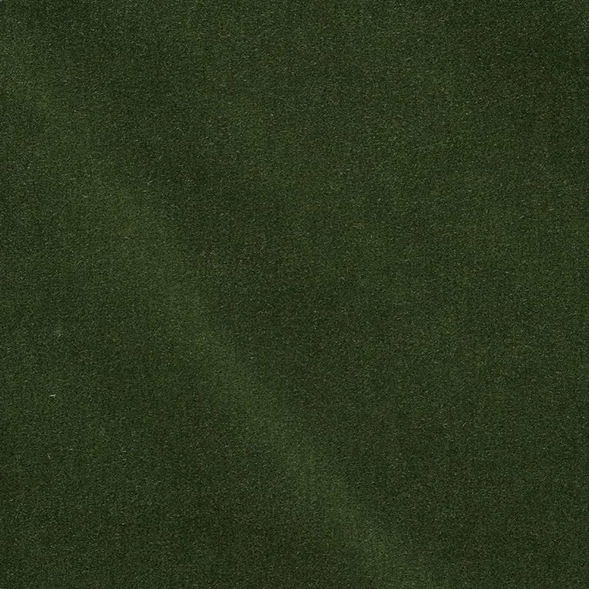SAN CARLO MOHAIR VELVET_ HEDGE