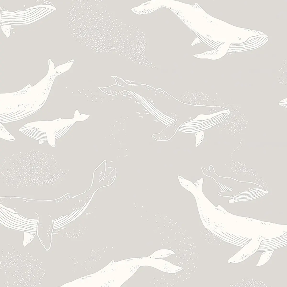 WHALES_ GREY