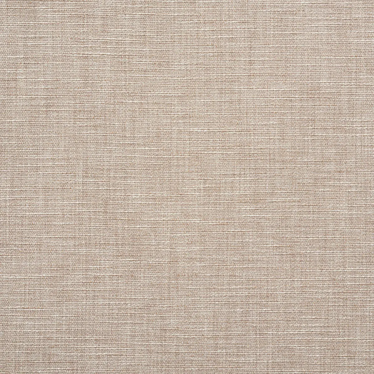 MAX WOVEN_ FLAX