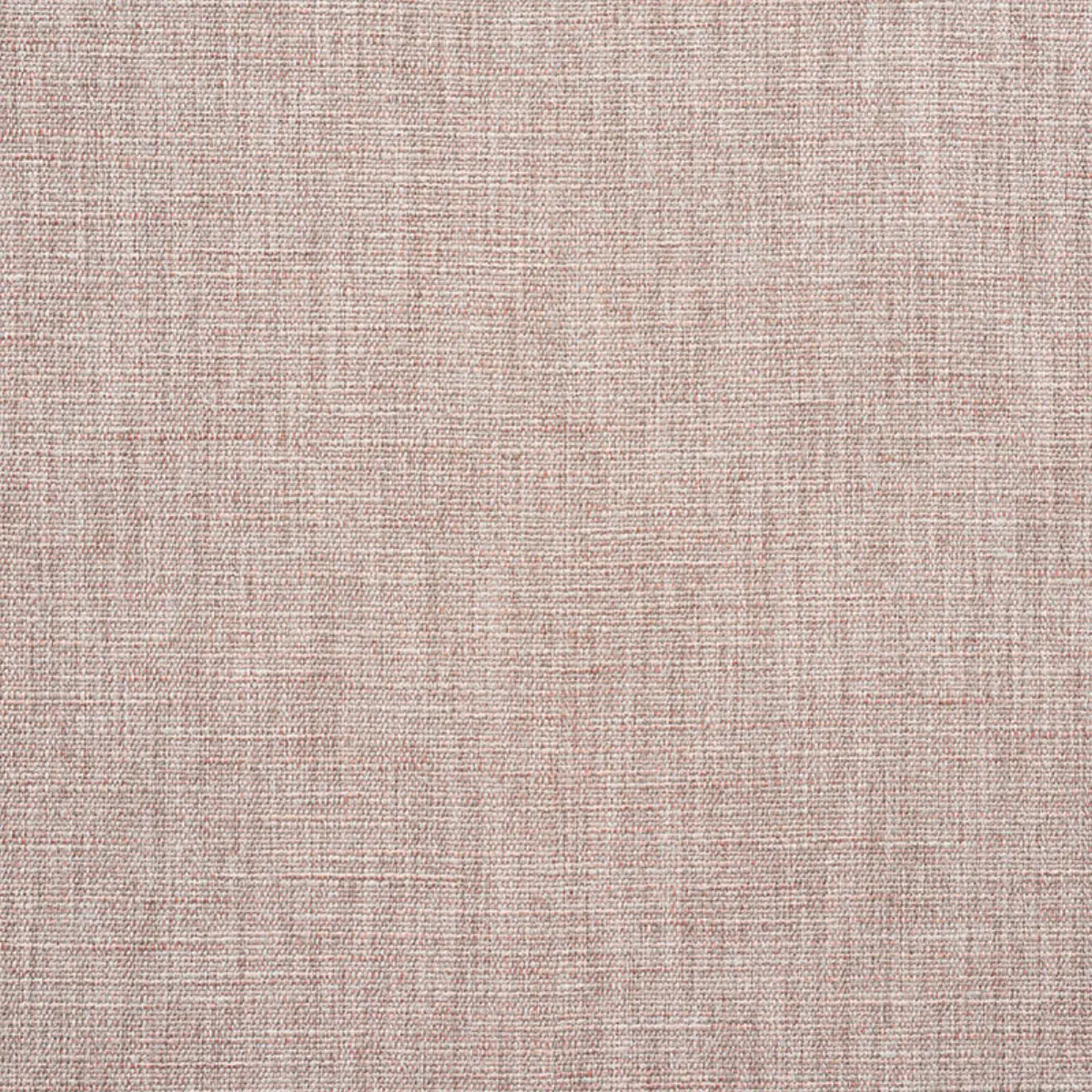 MAX WOVEN_ BLUSH