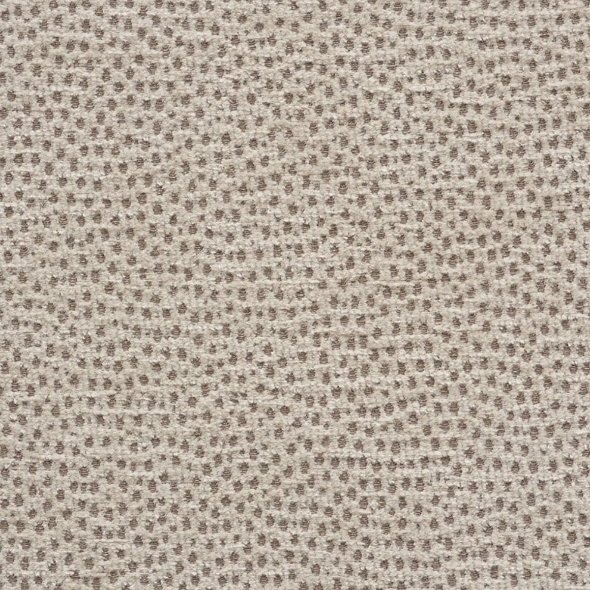 STINGRAY_ ZINC