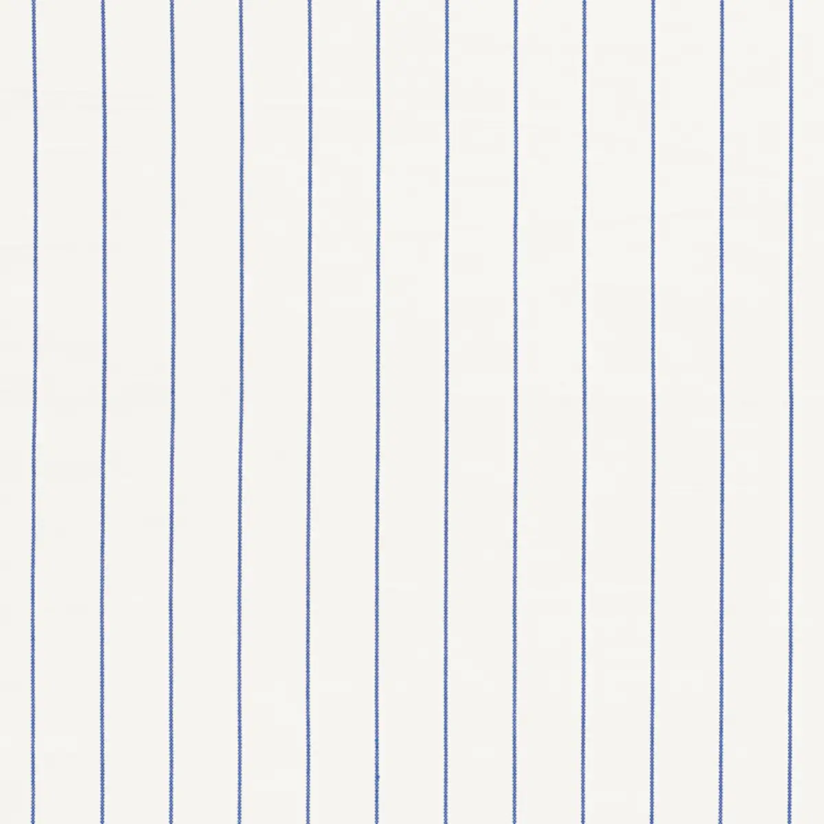 CAVETT STRIPE_ BLUE
