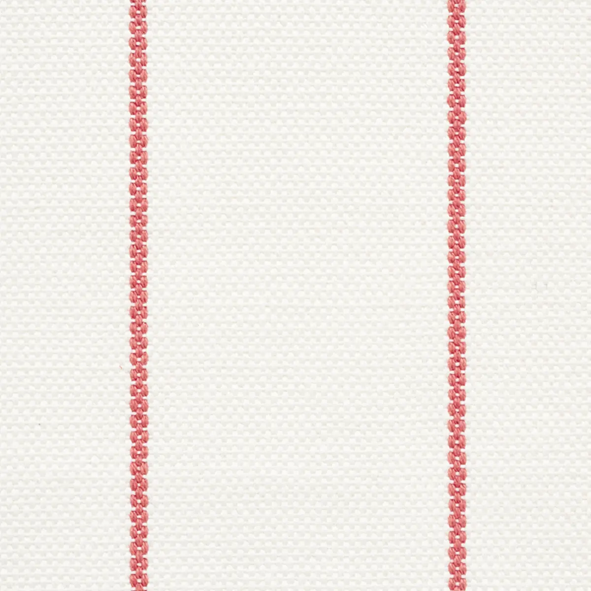 CAVETT STRIPE_ ROSE