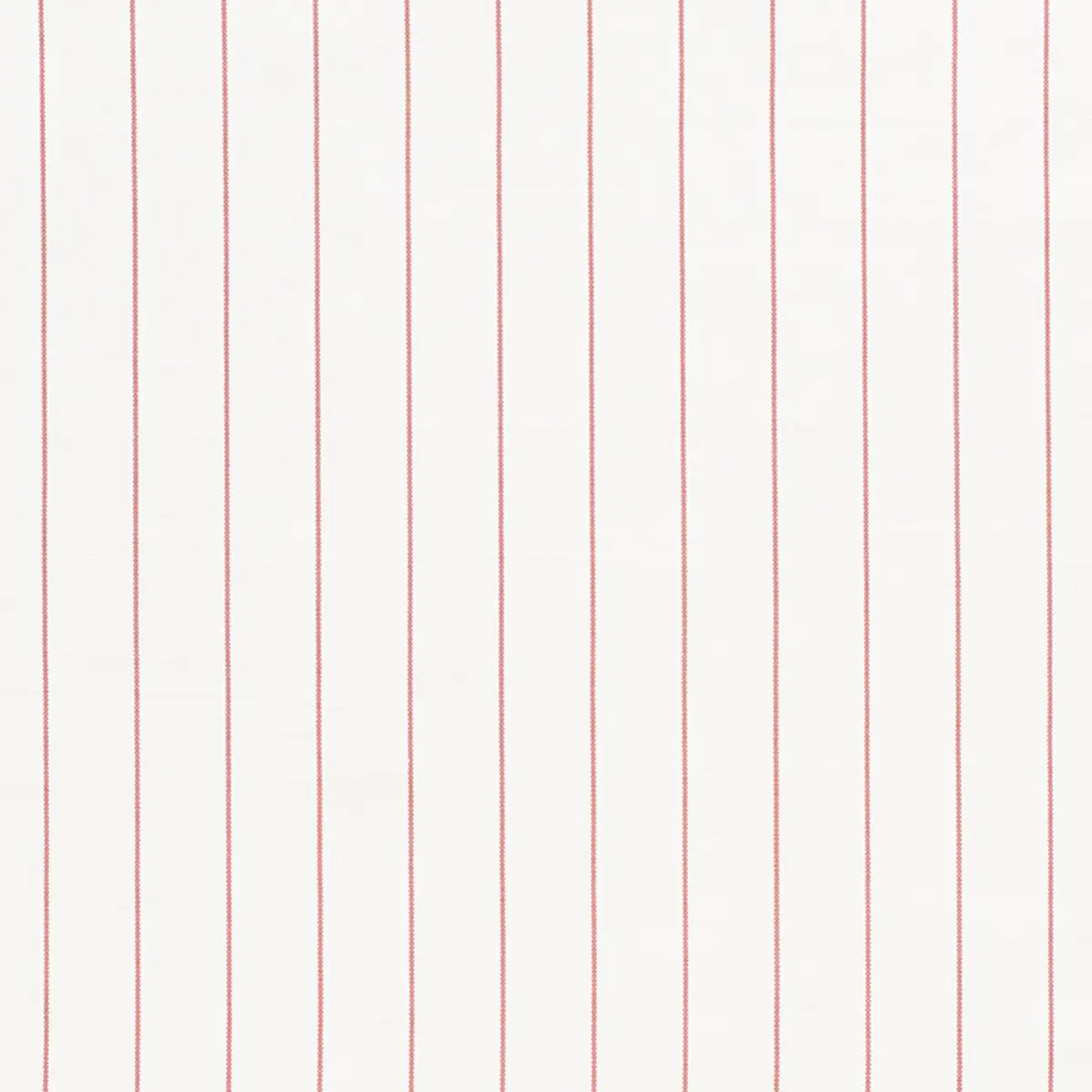 CAVETT STRIPE_ ROSE