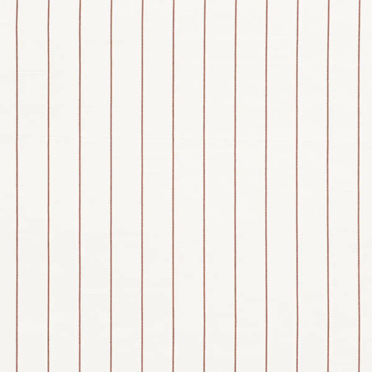 CAVETT STRIPE_ SIENNA