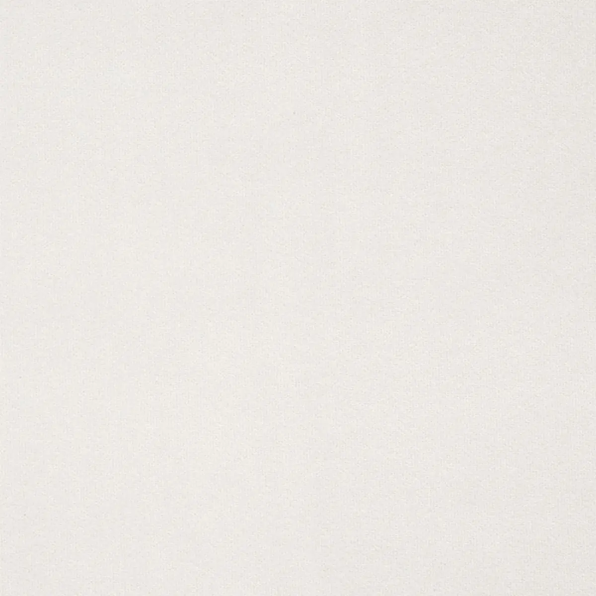 ALISTAIR INDOOR/OUTDOOR VELVET_ BLANC