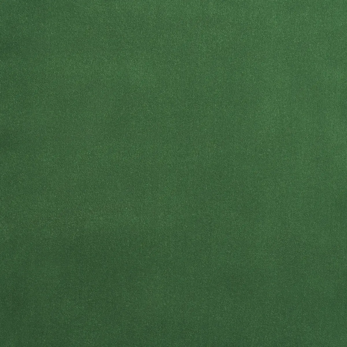 ALISTAIR INDOOR/OUTDOOR VELVET_ VERDANT