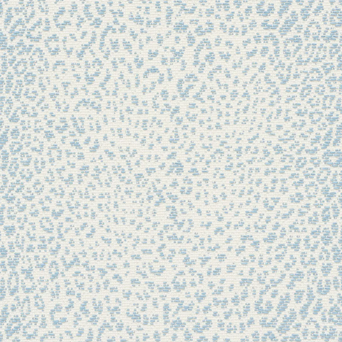 MINI LEOPARD OUTDOOR_ SKY