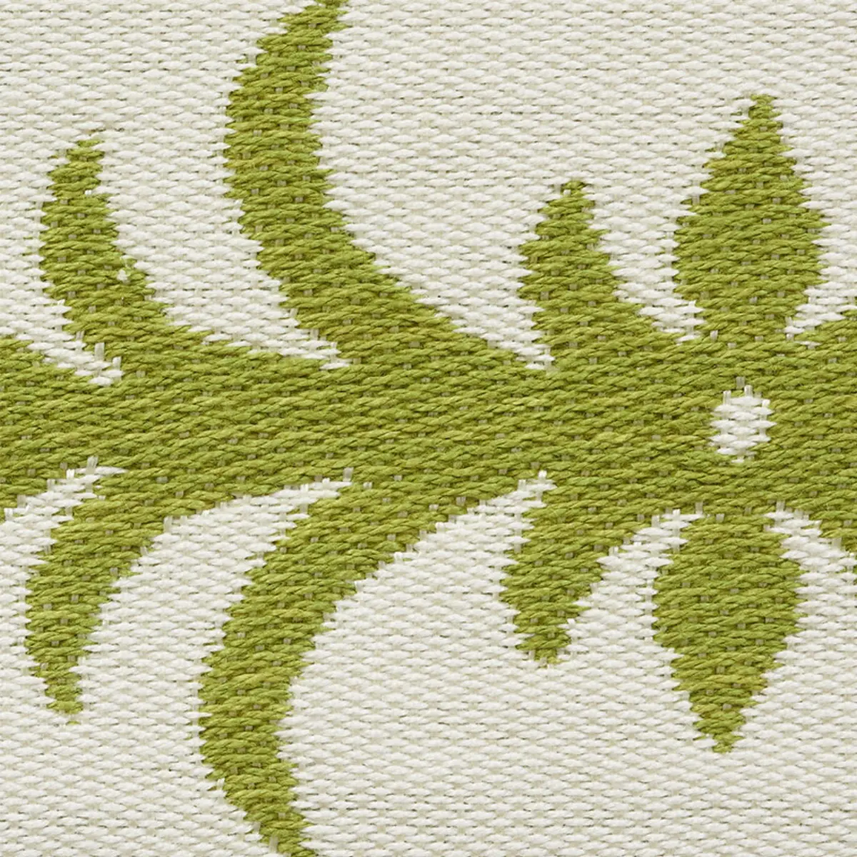 ACANTHUS TAPE_ MOSS