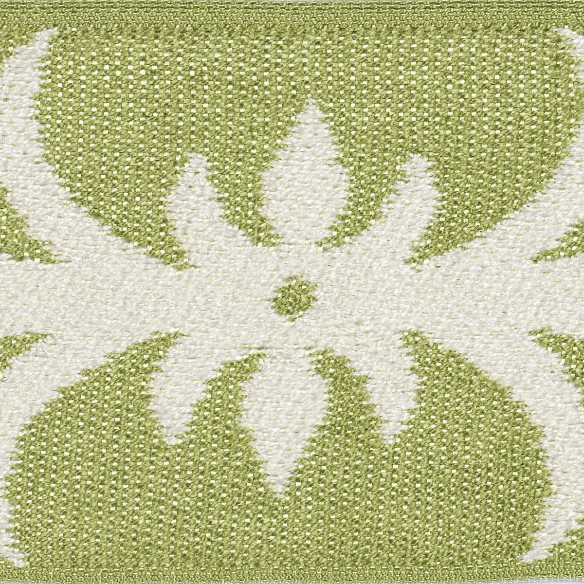 ACANTHUS TAPE_ ROMAINE