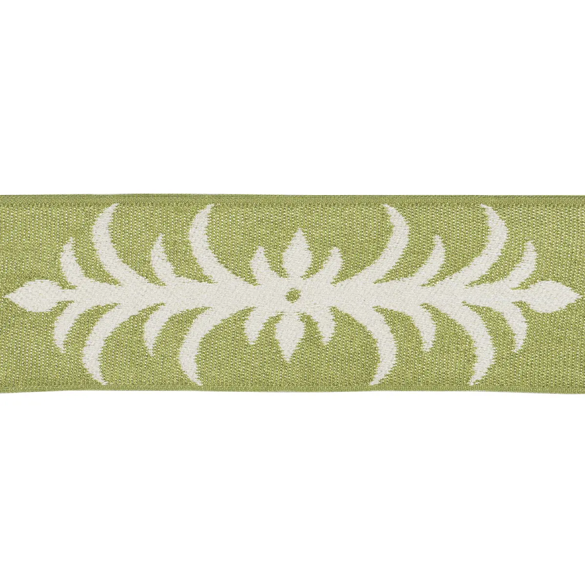 ACANTHUS TAPE_ ROMAINE