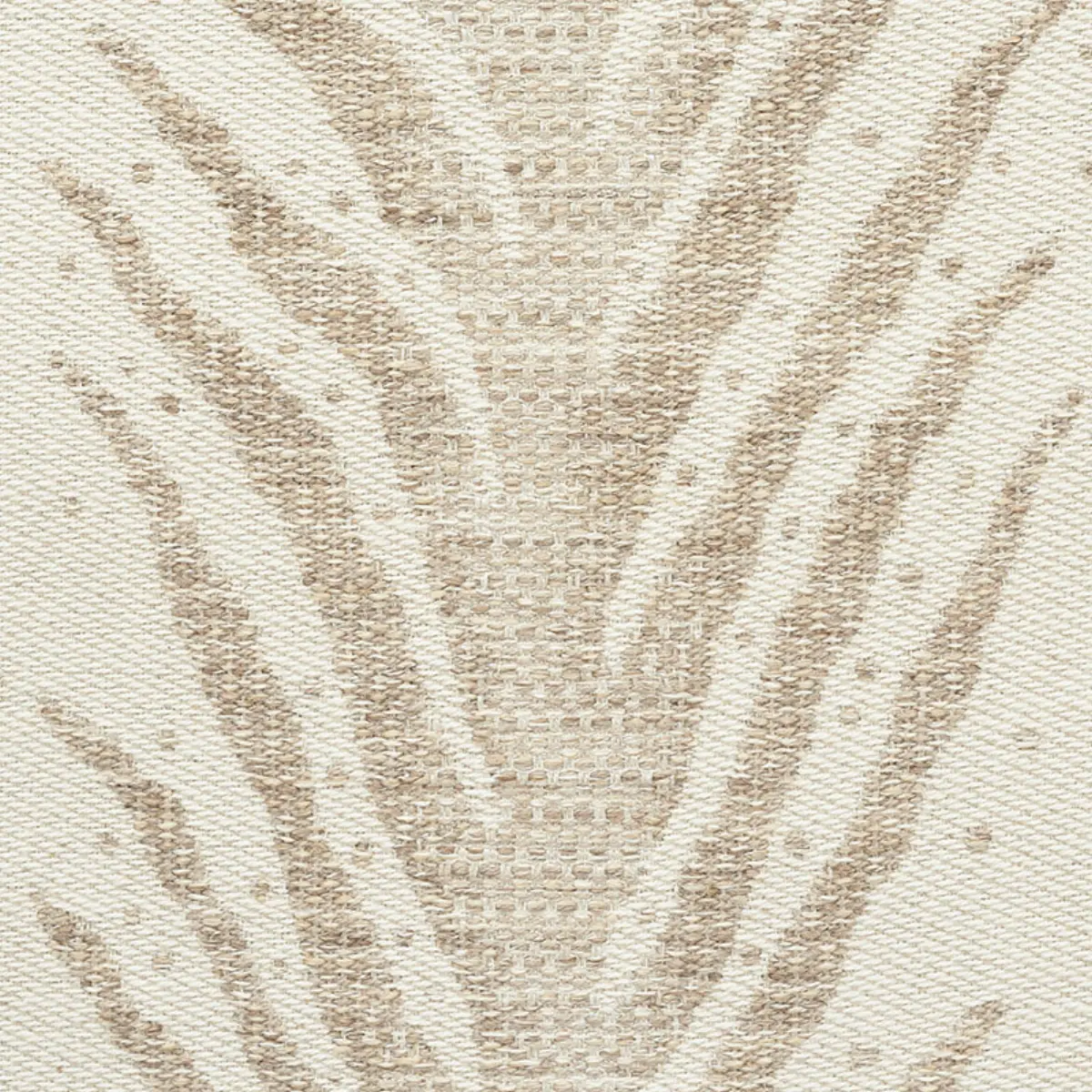 CREEPING FERN_ DUNE