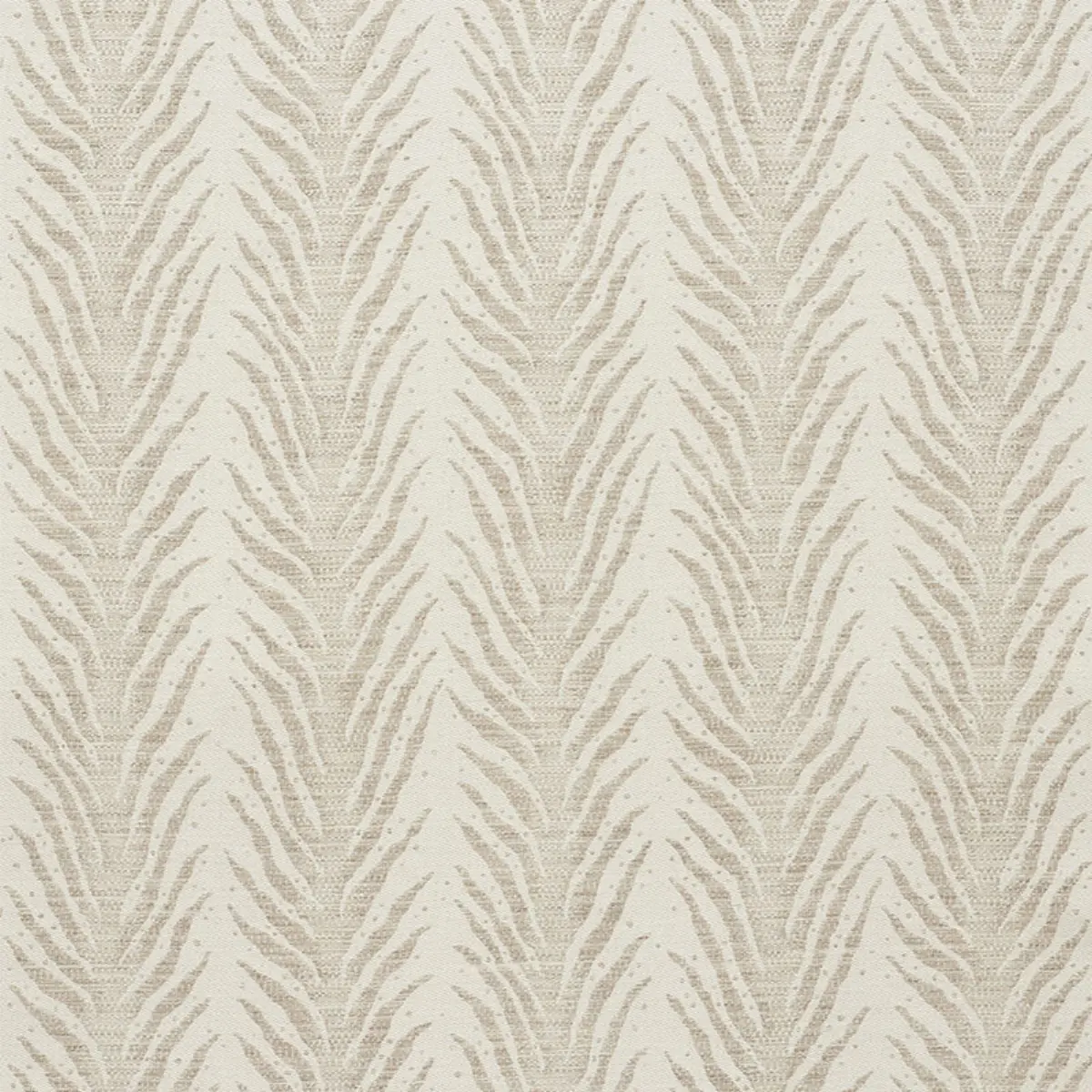 CREEPING FERN_ DUNE