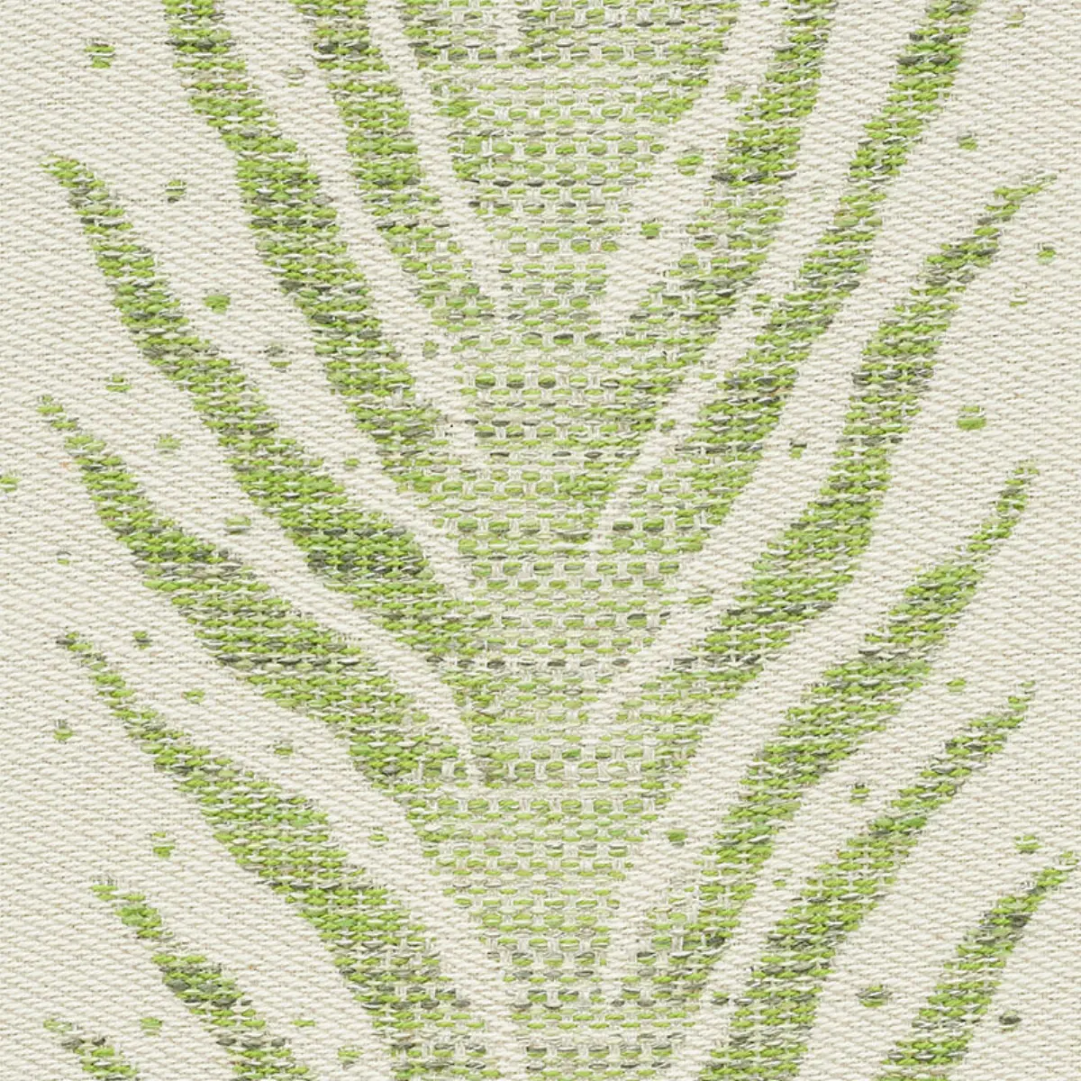 CREEPING FERN_ MOSS