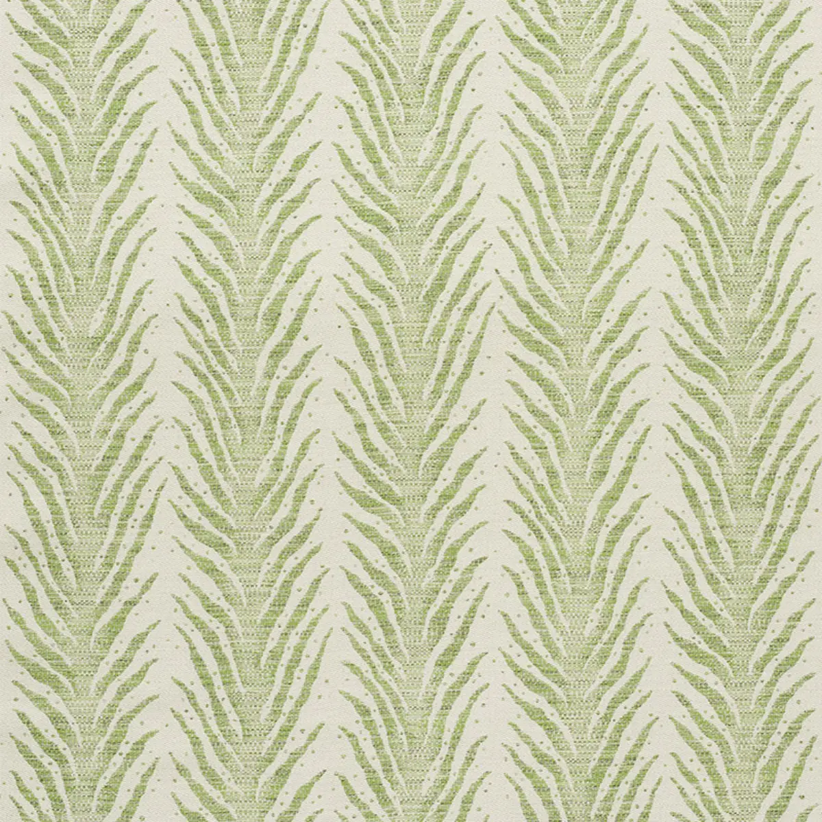 CREEPING FERN_ MOSS