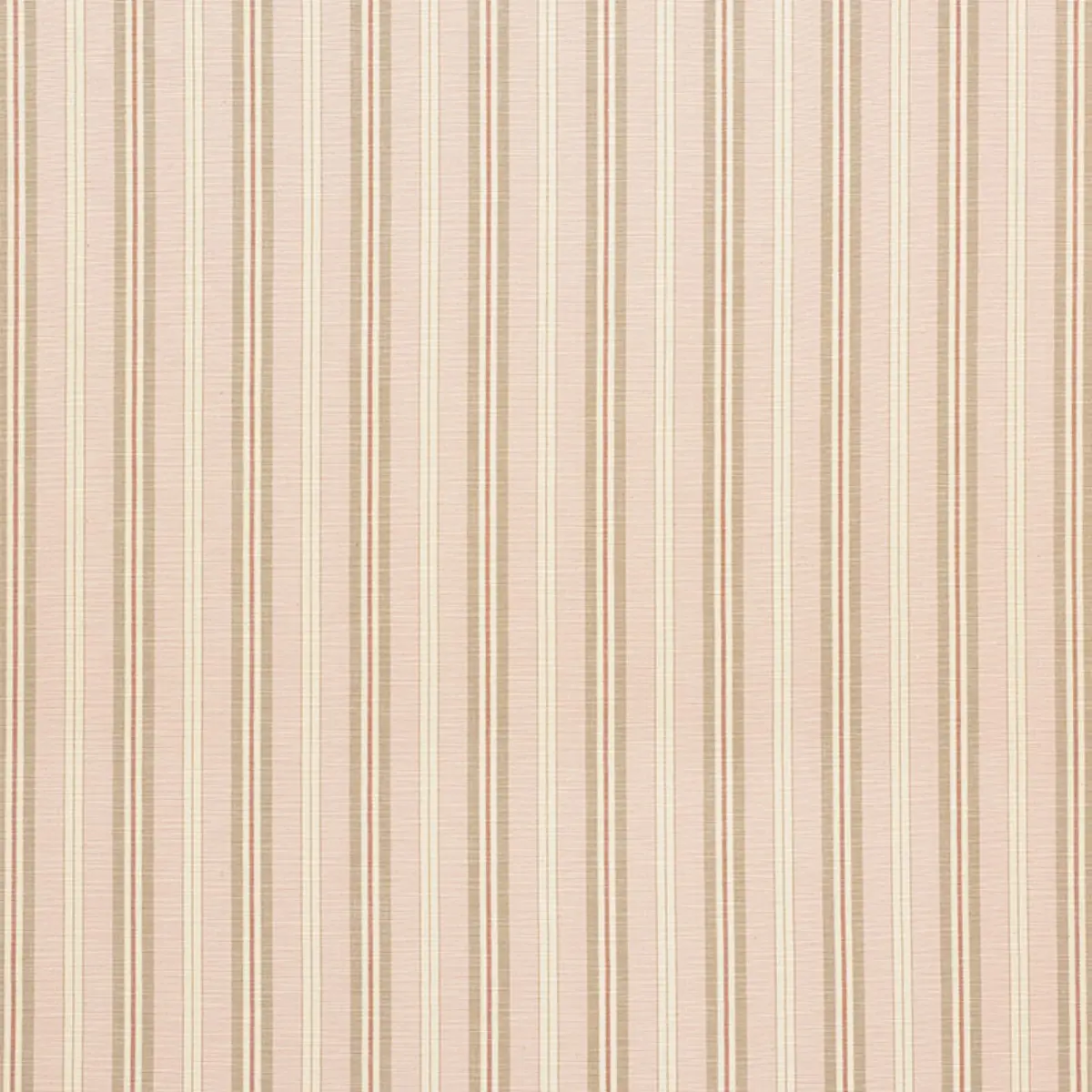 LEWIS STRIPE_ BLUSH