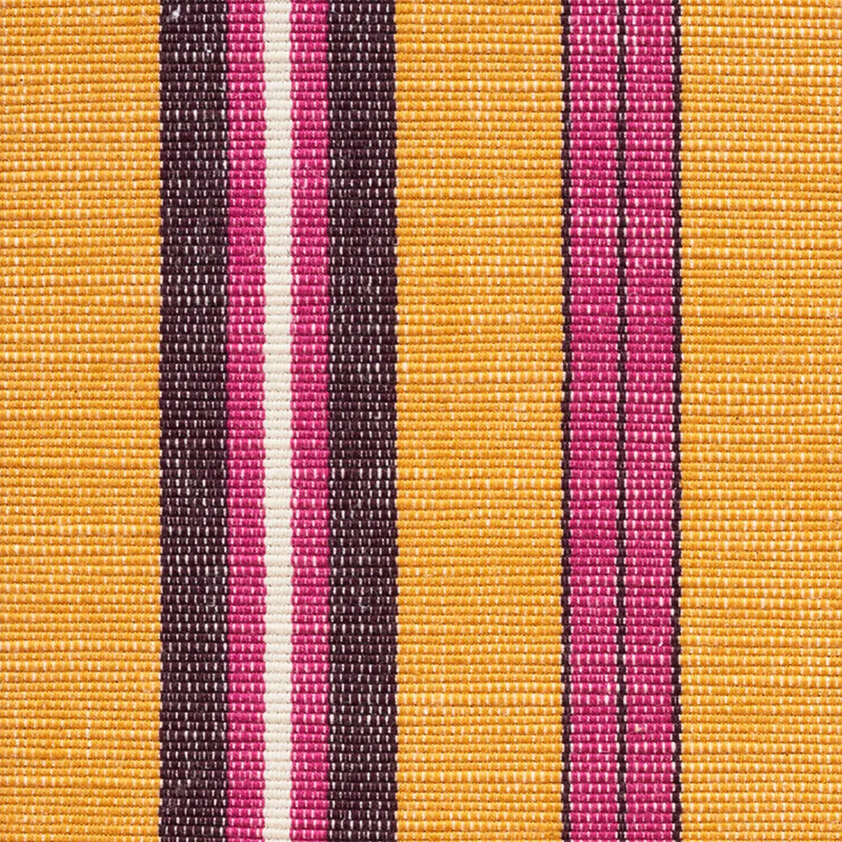 LEWIS STRIPE_ GOLD