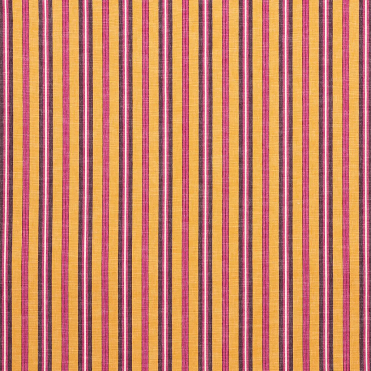 LEWIS STRIPE_ GOLD