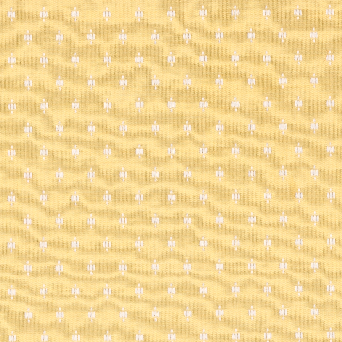 BARLOW_ IVORY ON YELLOW