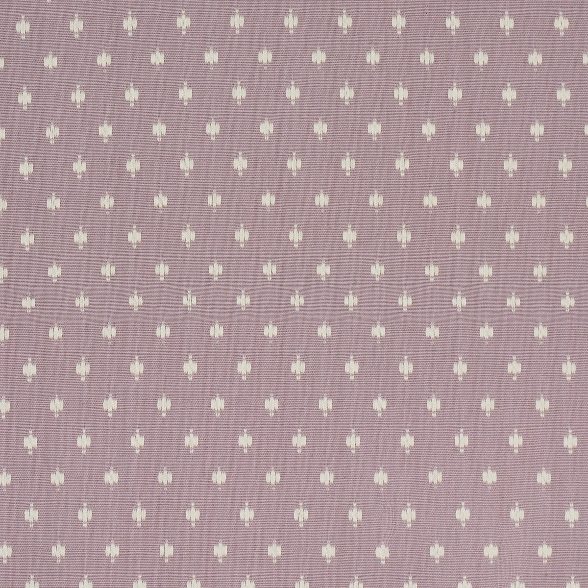BARLOW_ FRENCH LILAC