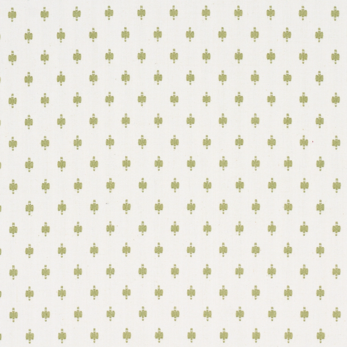 BARLOW_ LEAF