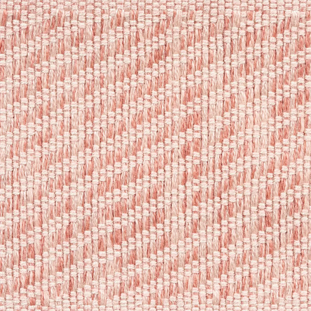 HAMOND TAPE_ BLUSH
