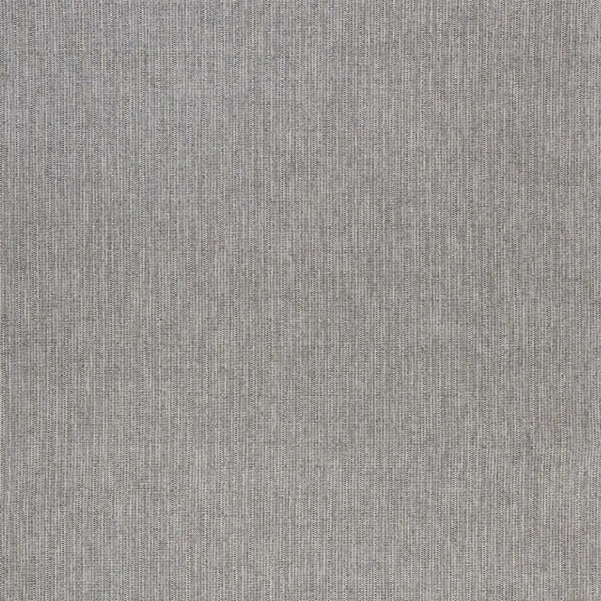 PIEDMONT CHENILLE_ BLACK & NEUTRAL