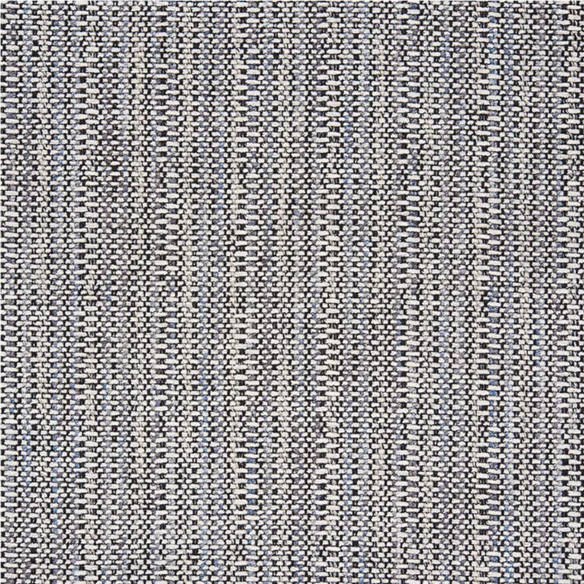 PIEDMONT CHENILLE_ BLACK & NEUTRAL