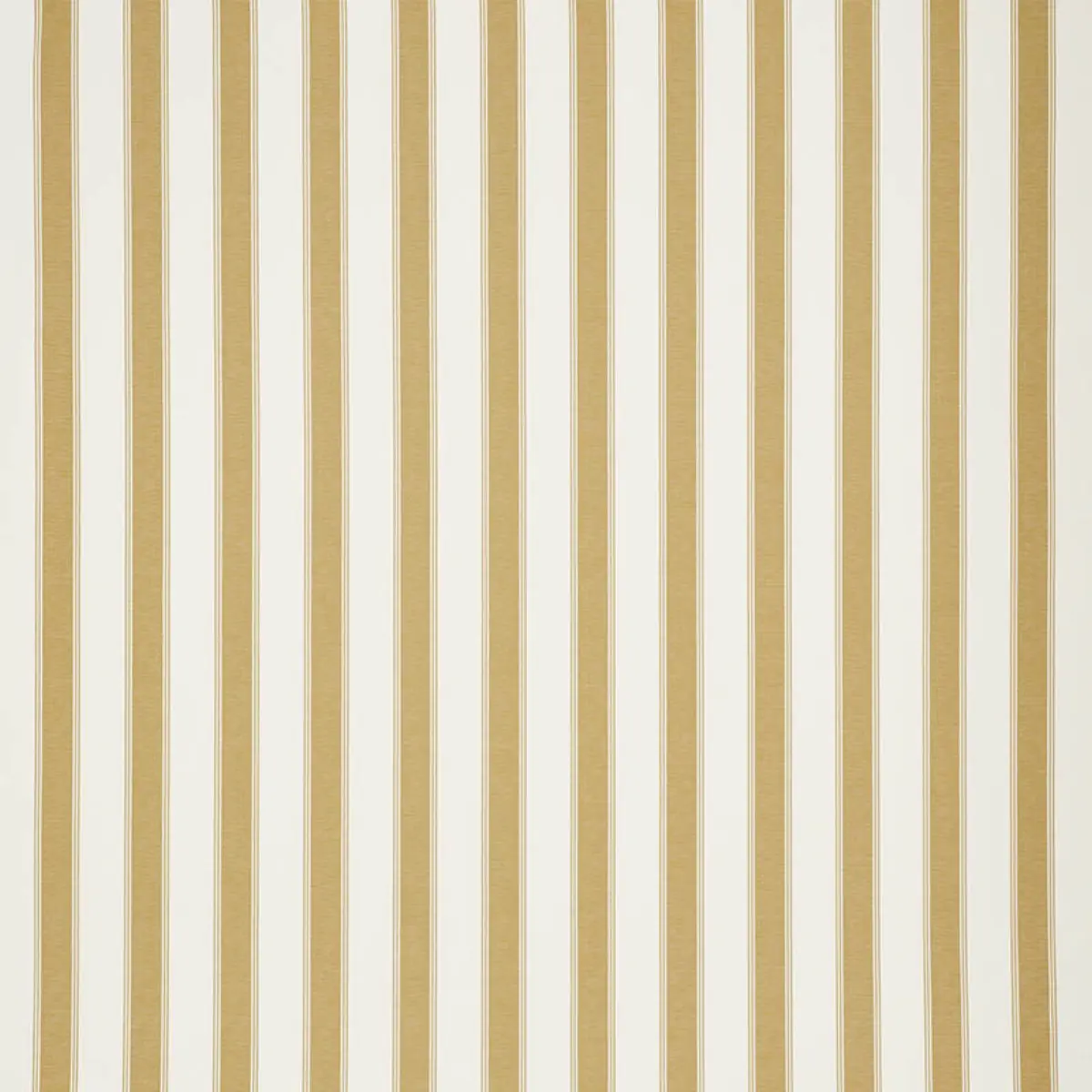 RAFE STRIPE_ CHARTREUSE