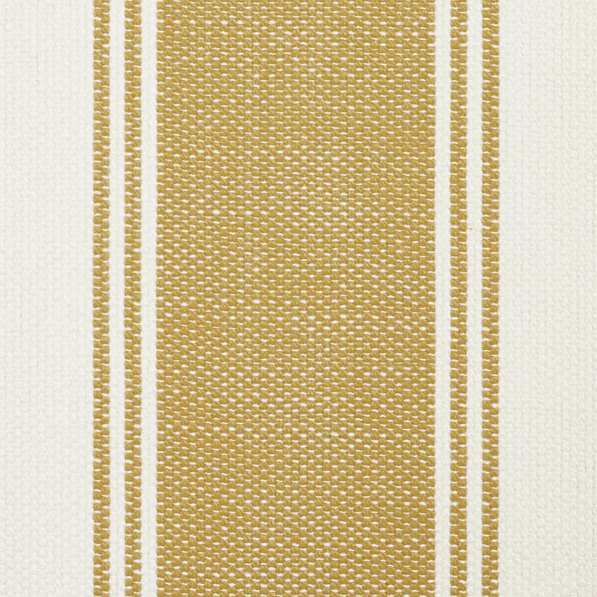 RAFE STRIPE_ CHARTREUSE