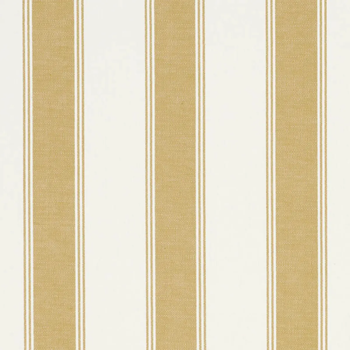 RAFE STRIPE_ CHARTREUSE