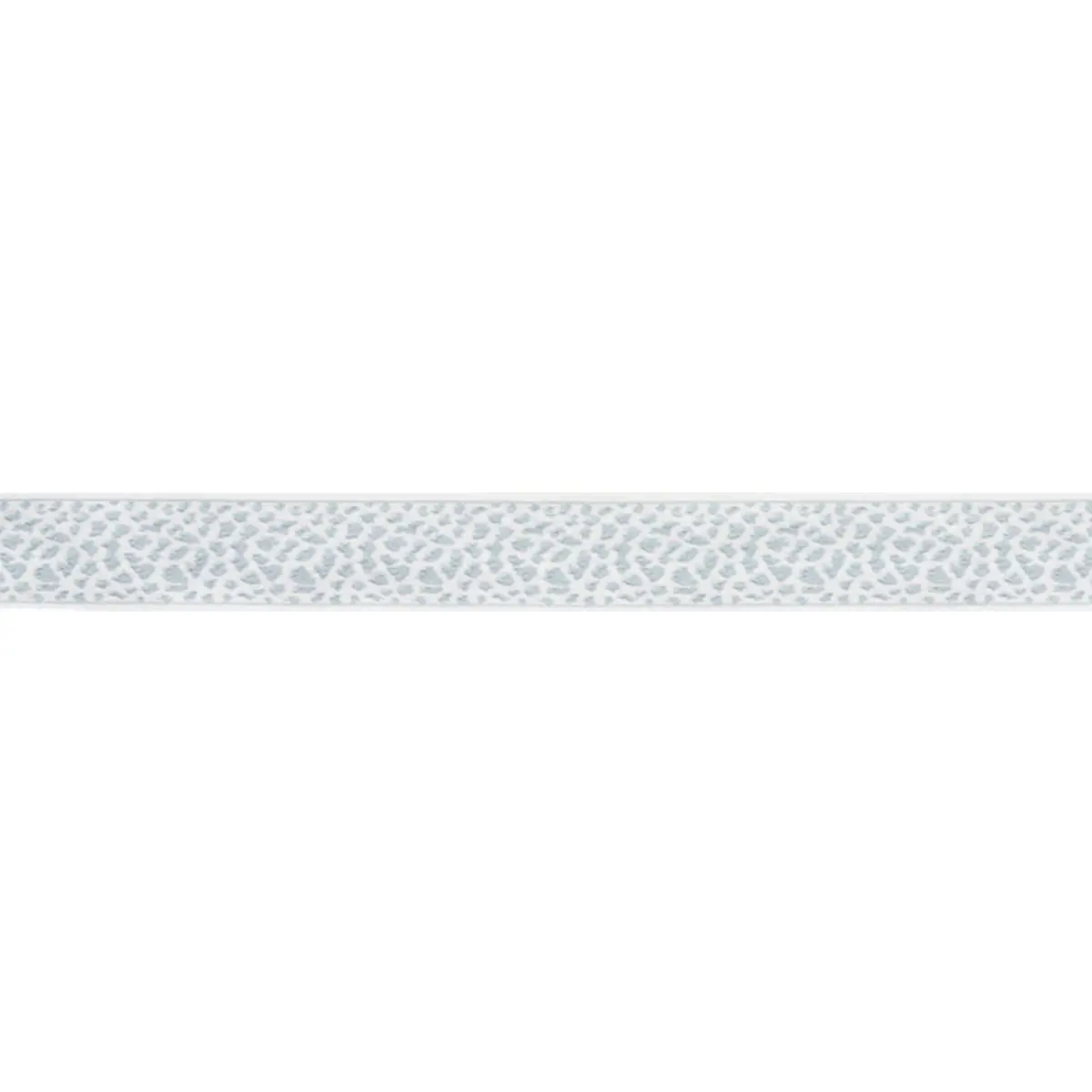 LEOPARD TAPE_ SKY