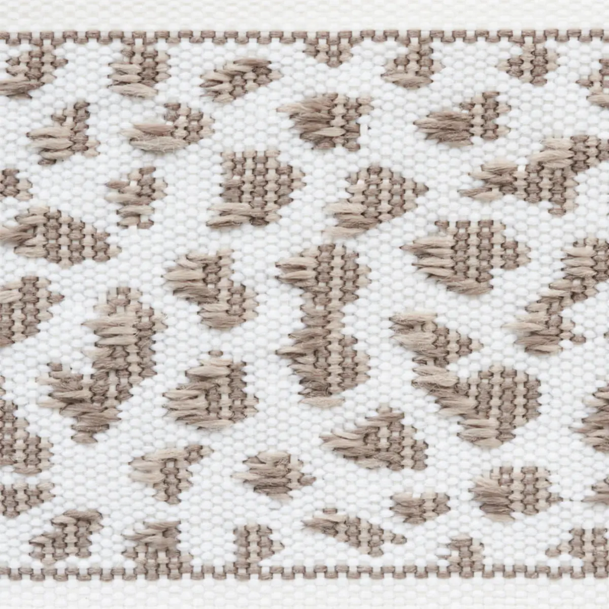 LEOPARD TAPE_ TAUPE
