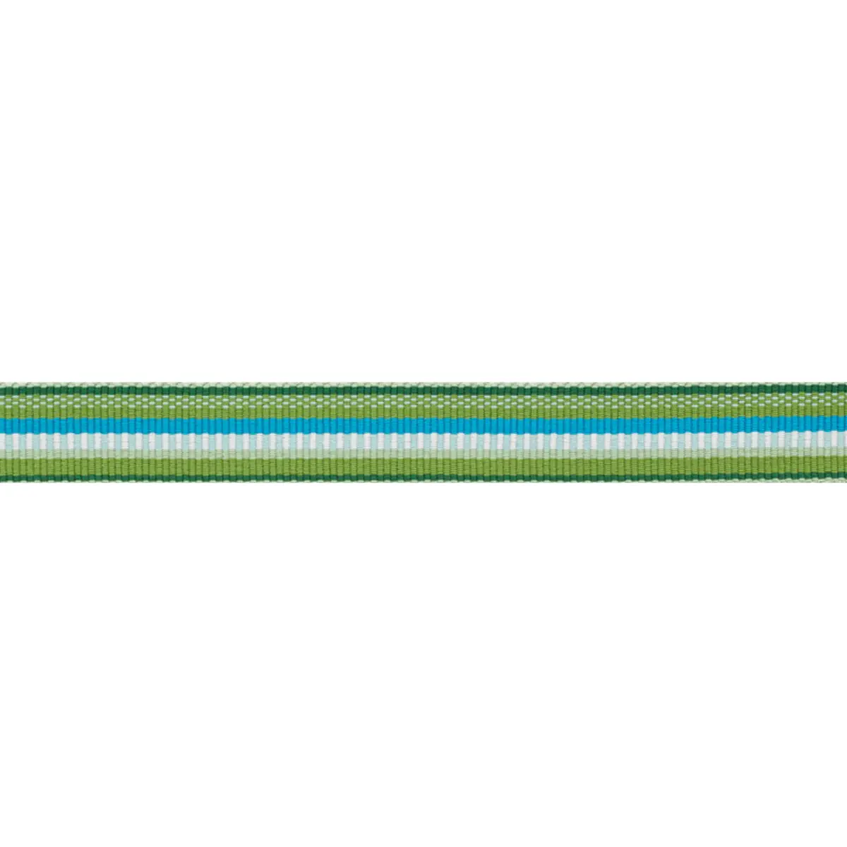 PRIMAVERA TAPE NARROW_ MEADOW