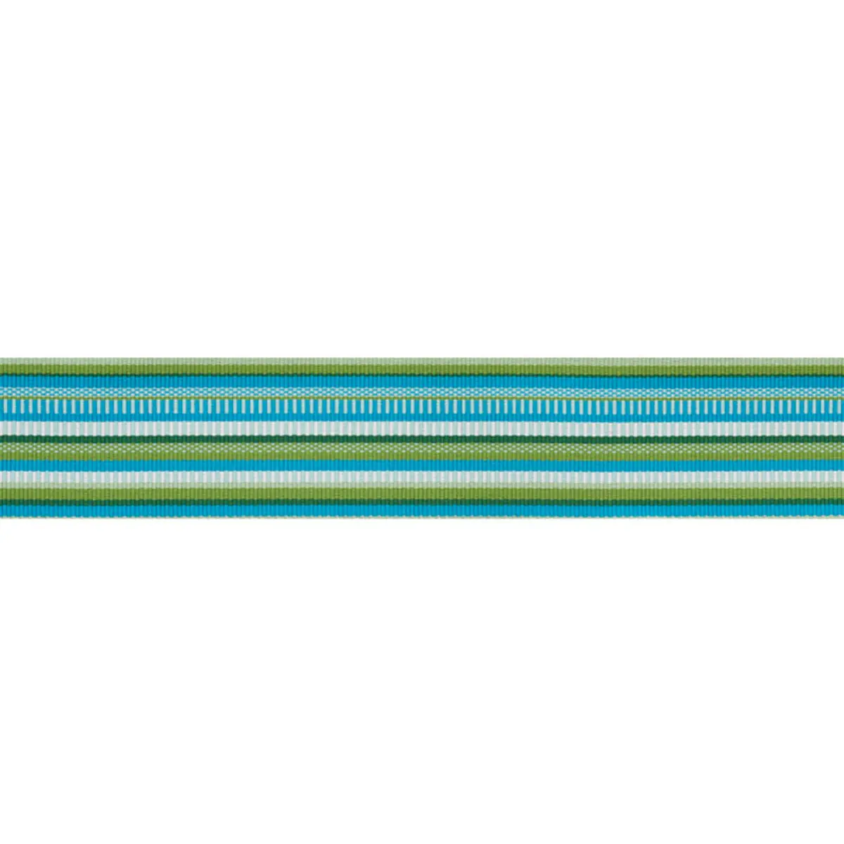 PRIMAVERA TAPE WIDE_ MEADOW