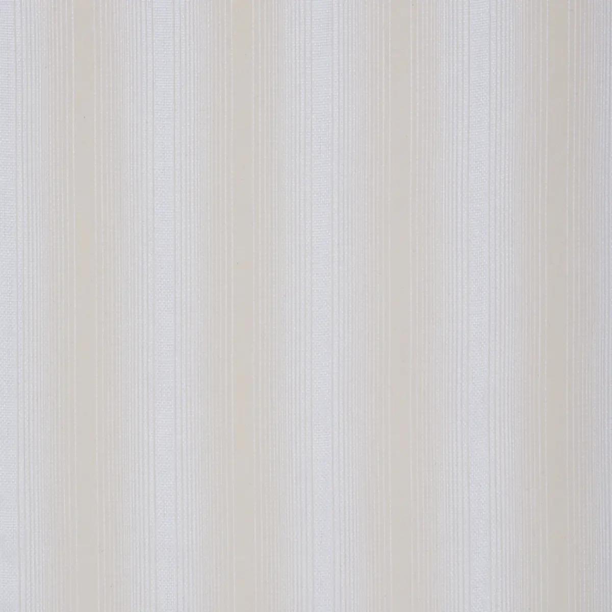 JENNET_ IVORY