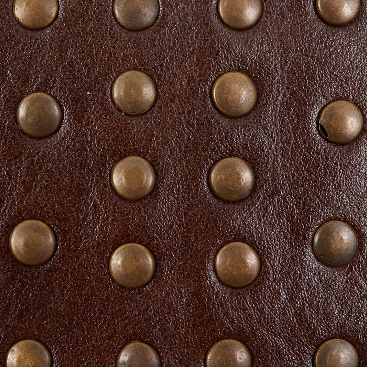 STUDDED LEATHER TRIM_ BROWN