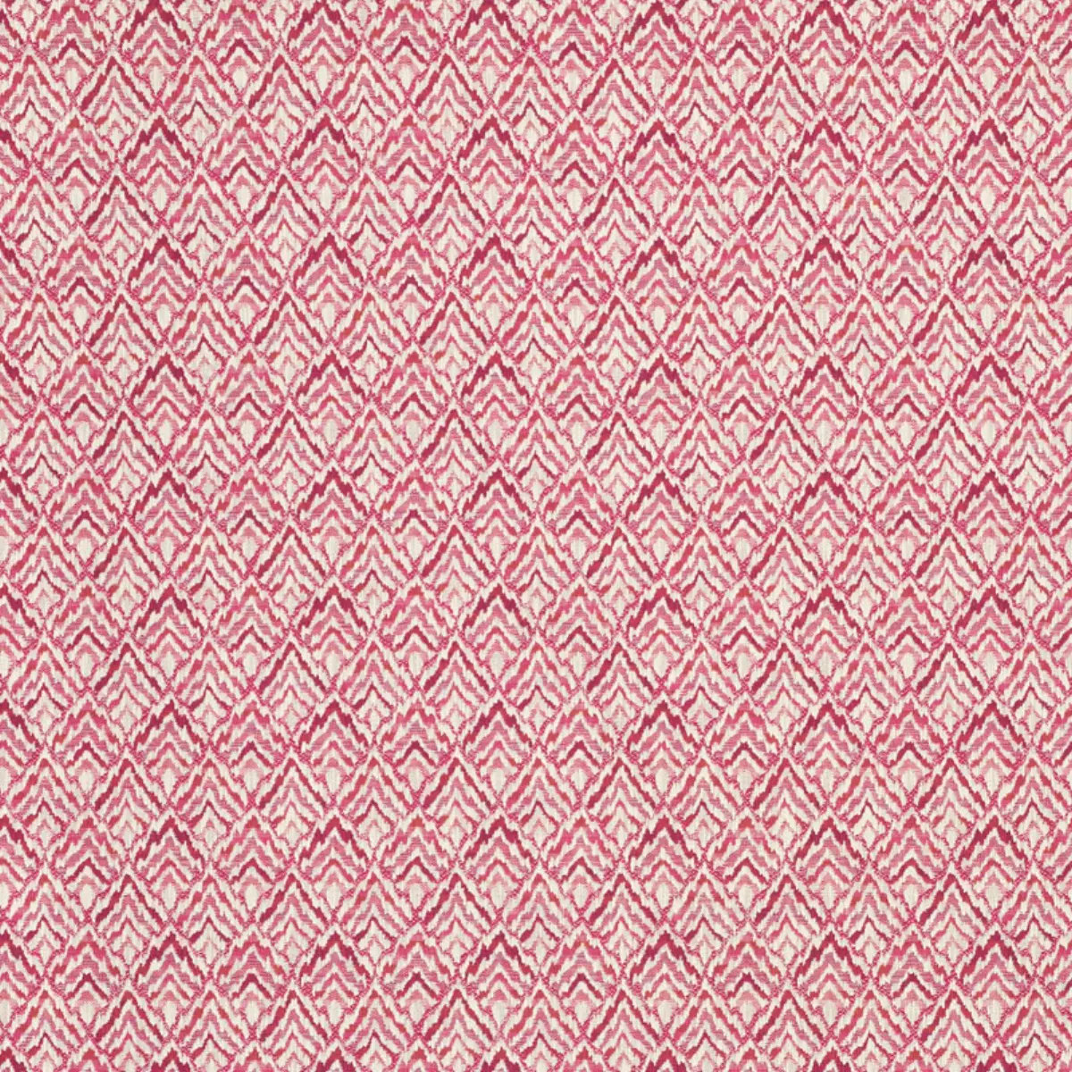 HALCYON_ FUCHSIA