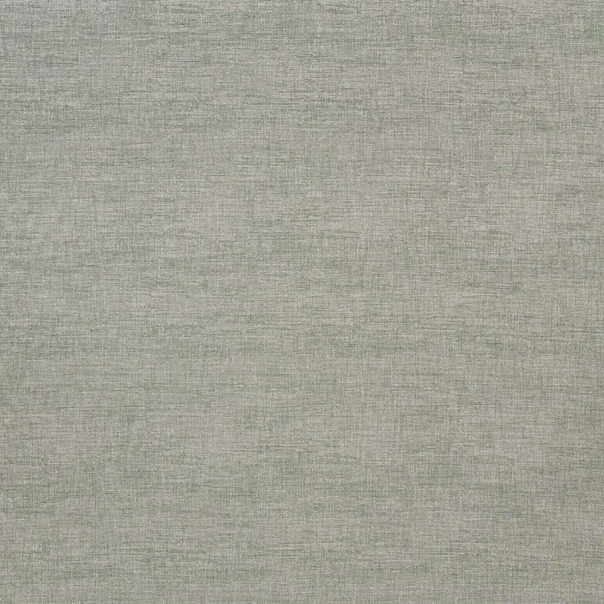AUCKLAND PERFORMANCE_ GRASS