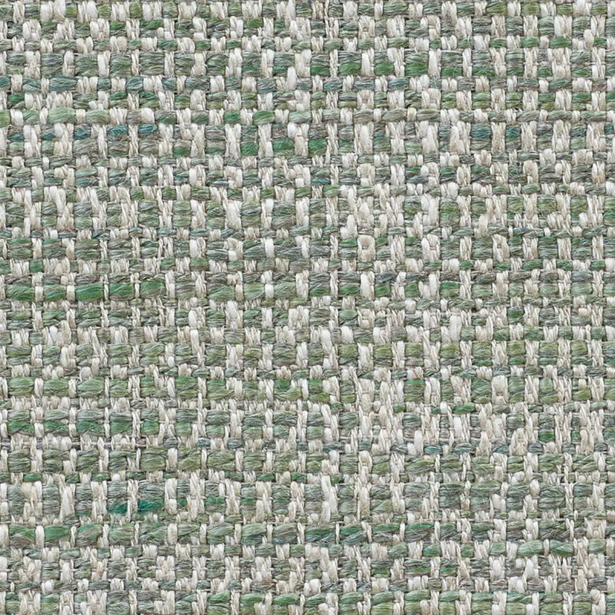 AUCKLAND PERFORMANCE_ GRASS