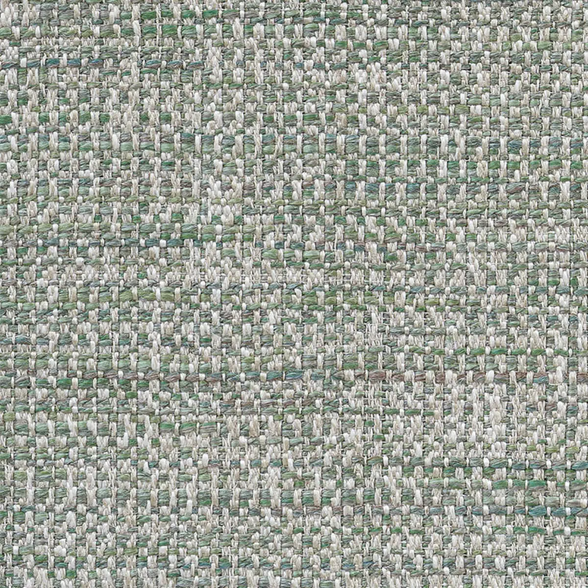 AUCKLAND PERFORMANCE_ GRASS
