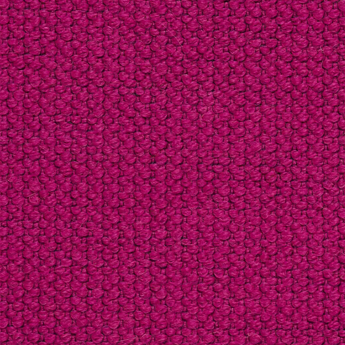 ALPINE_ FUCHSIA
