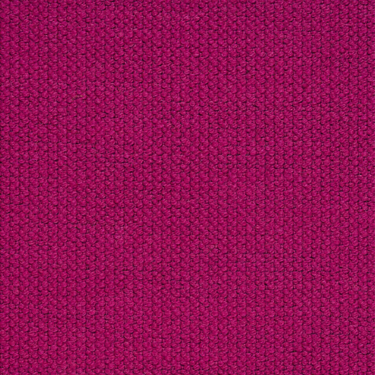 ALPINE_ FUCHSIA