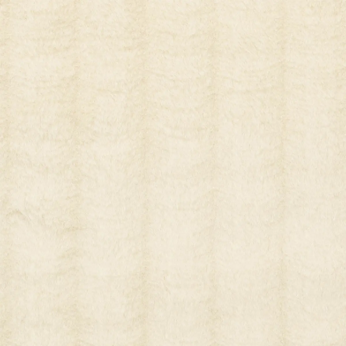 TUNDRA_ IVORY