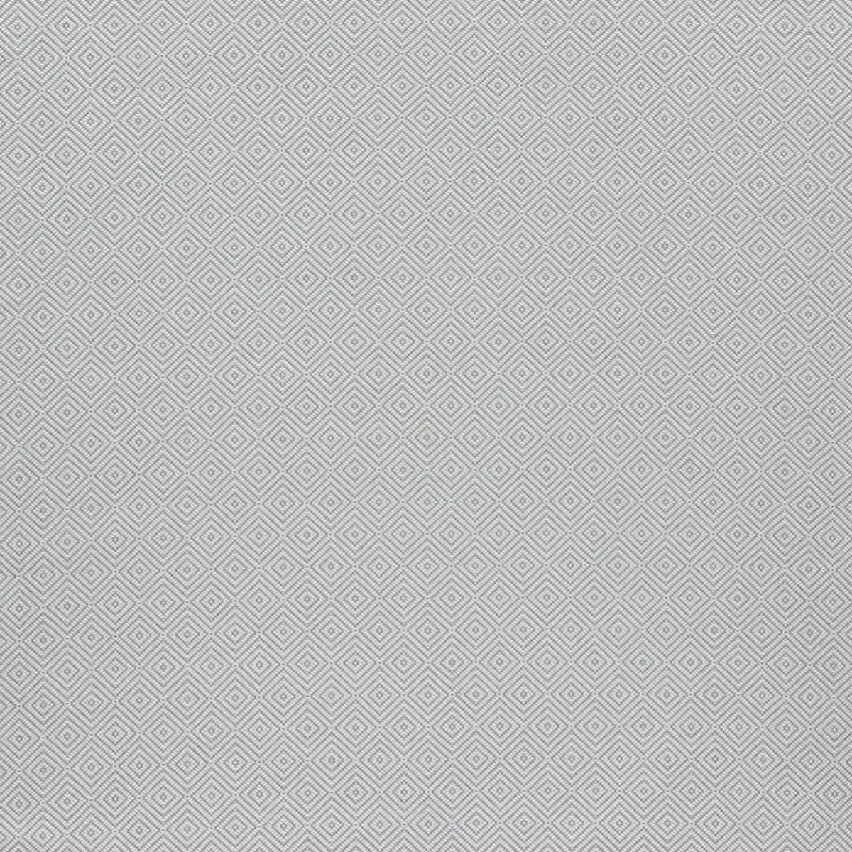 MONTANE_ GREY