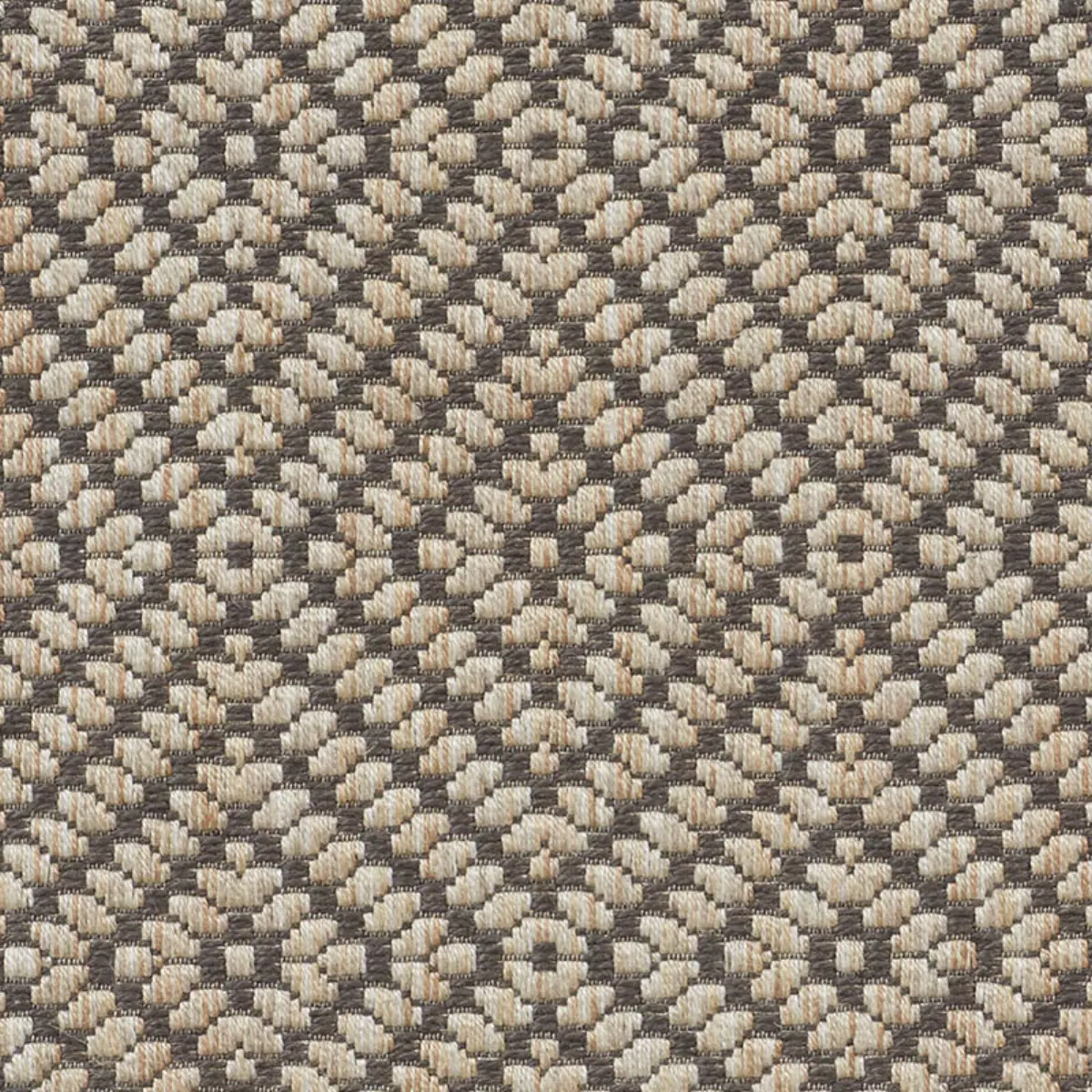 MONTANE_ RAFFIA