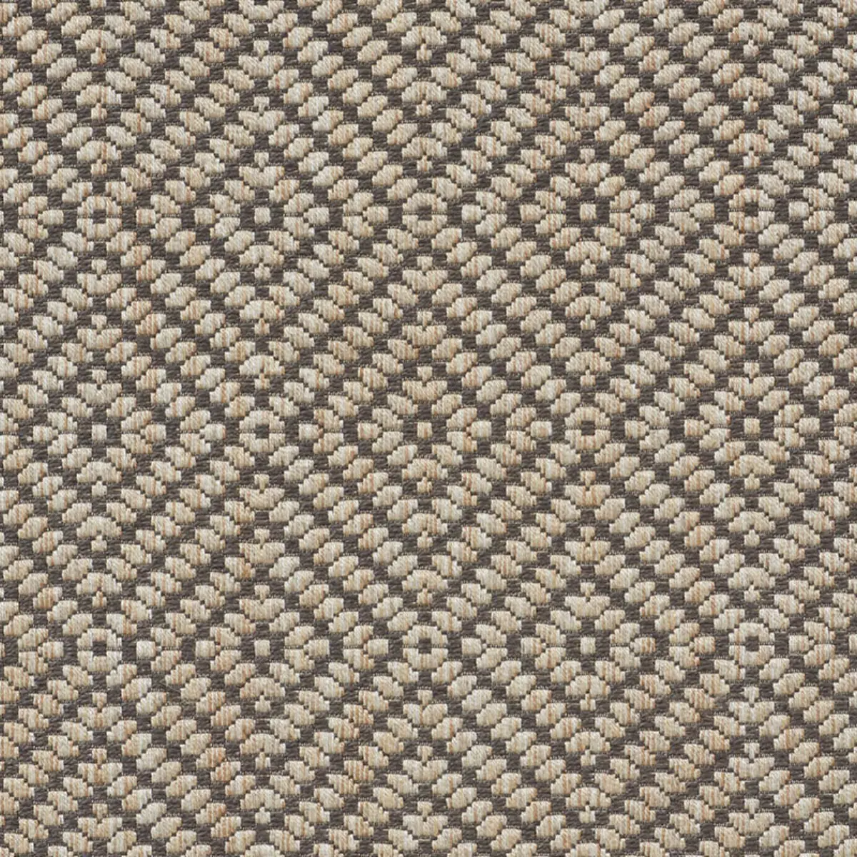 MONTANE_ RAFFIA