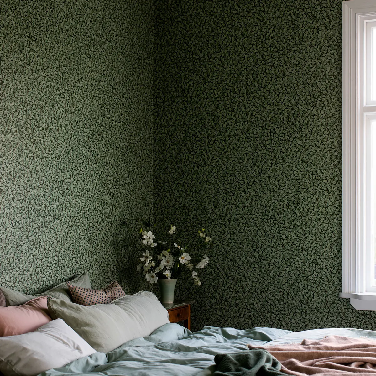 HAZEL_ SPRUCE